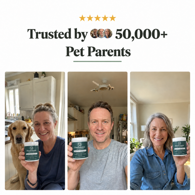 PawBalance Postbiotic Chews