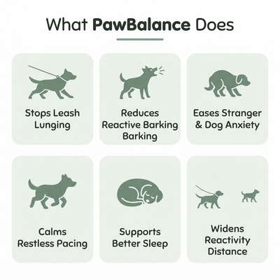 PawBalance Postbiotic Chews
