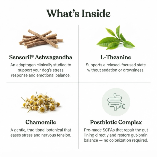 PawBalance Postbiotic Chews