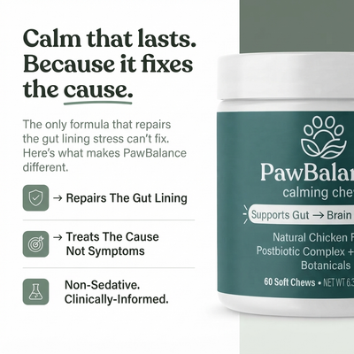 PawBalance Postbiotic Chews
